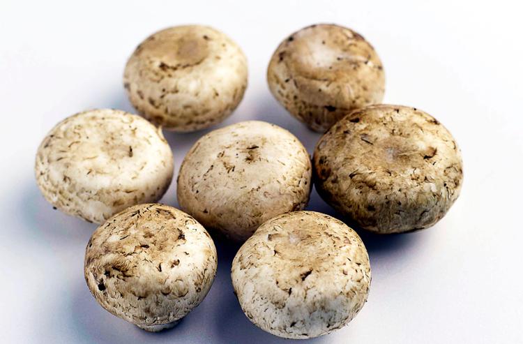 Da funghi champignon possibile azione anti-cancro prostata, si studia meccanismo.