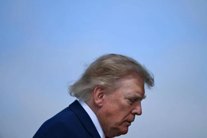 Trump_ciuffo